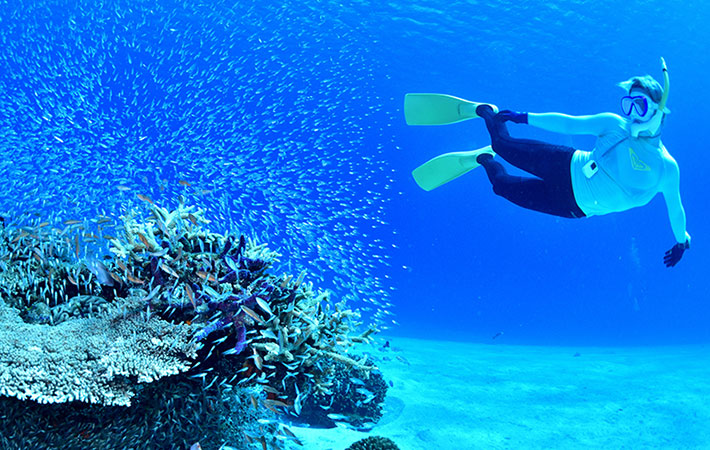 Snorkeling